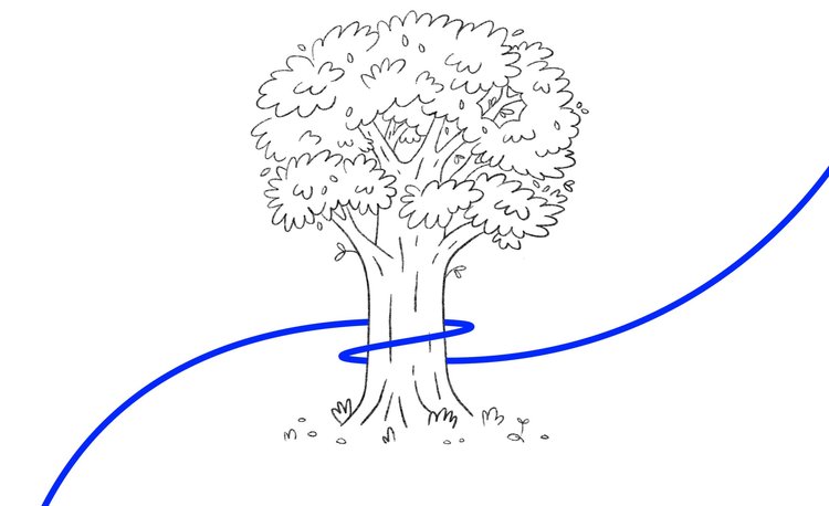 600px.original