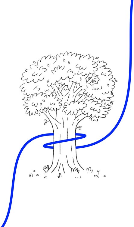 960px.original